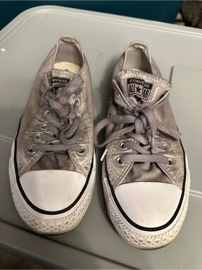 Converse All Star Low Top Sneakers in Light Gray and White
